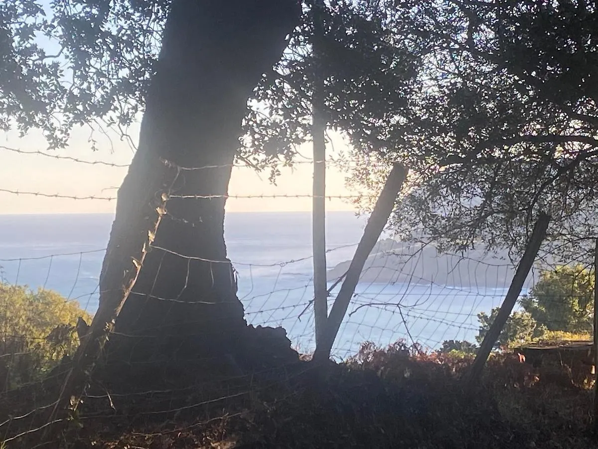 Villa Mundaka Beachfront House