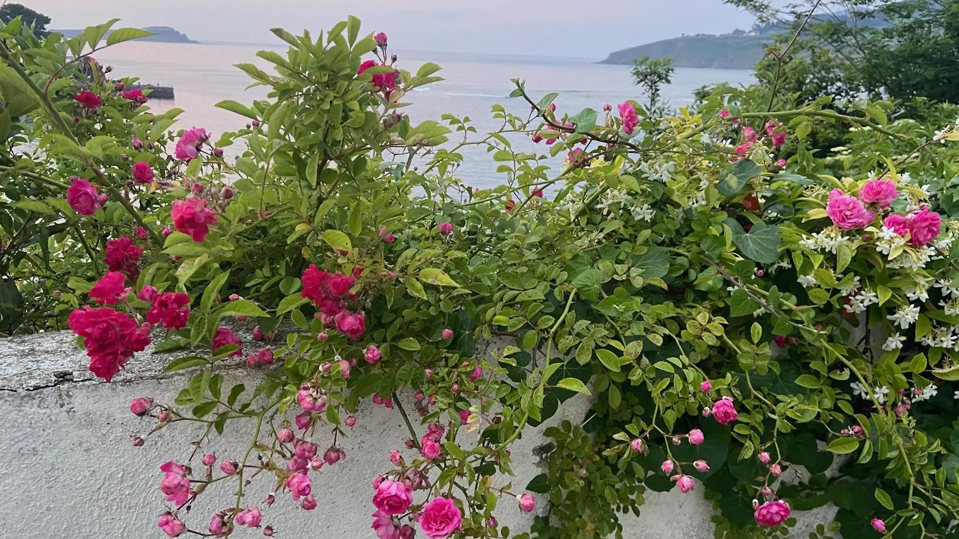 Mundaka Beachfront House